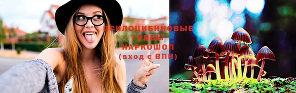 дмт Алексеевка