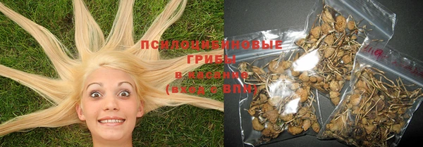 прущие крисы Алзамай
