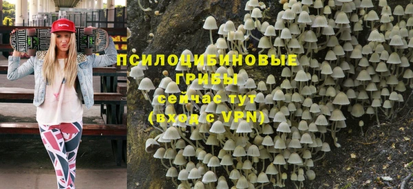 прущие крисы Алзамай