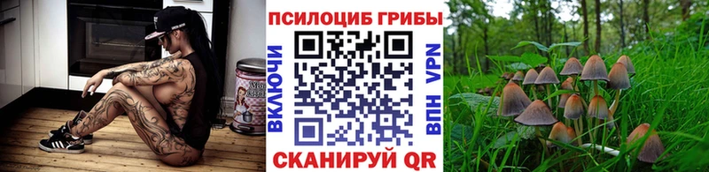 Купить закладки  Плавск  Псилоцибиновые грибы GOLDEN TEACHER 